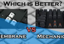 membrane vs mechanical switches