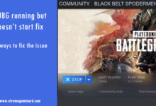 PUBG running but not starting