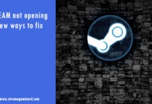 Steam not opening