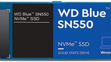 WD Blue SN550