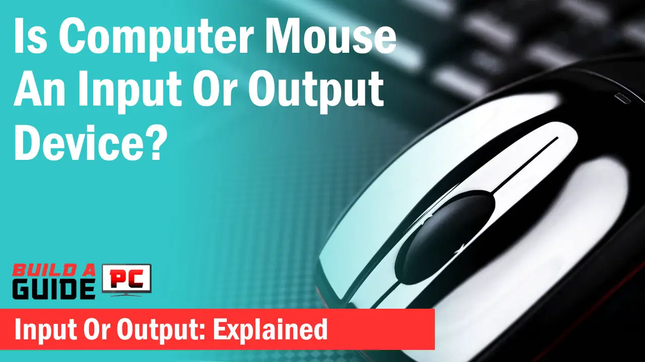 mouse input or output